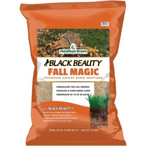 Take Your Lawn to the Next Level with Black Beauty Fall Magic Grass Seed